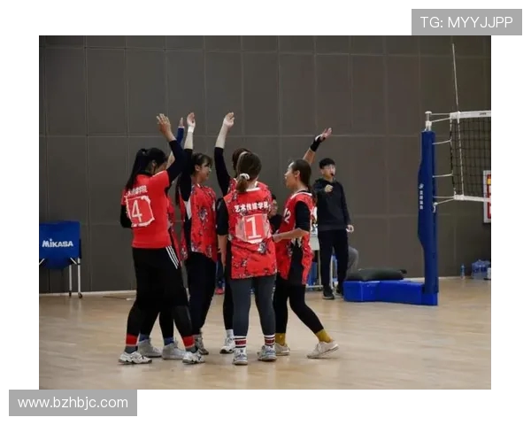 上海排球队的拼搏之路：一段不屈不挠的奋斗纪实