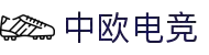 中欧电竞-电竞之路赛事平台
